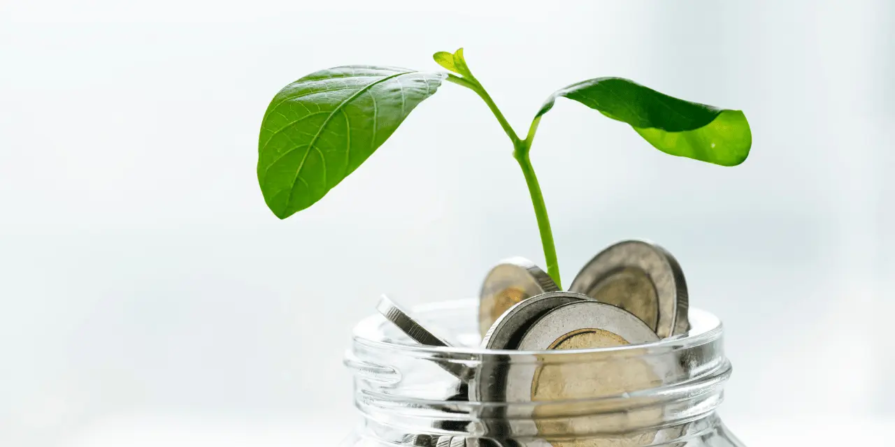 The role of early-stage capital in technology growth
